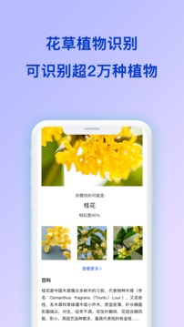 拍照识图