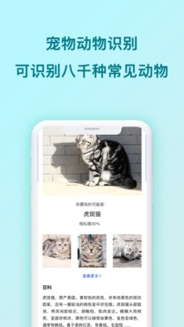 拍照识图